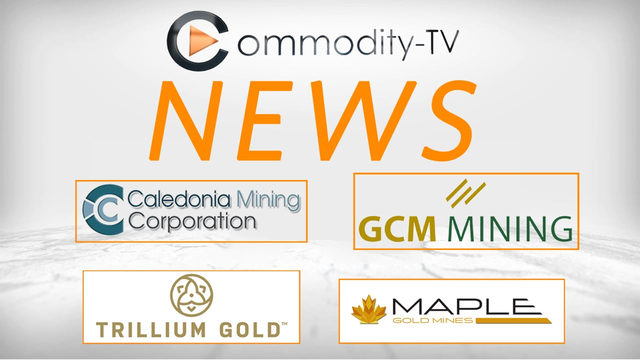 Mining Newsflash with GCM Mining, Trillium Gold, Caledonia Mining and Maple Gold Mines