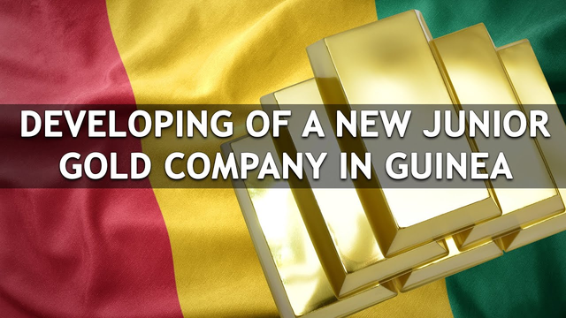 Developing Of A New Junior Gold Company In Guinea