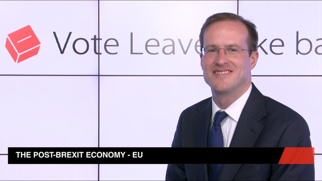 Brexit. The Future Of The EU