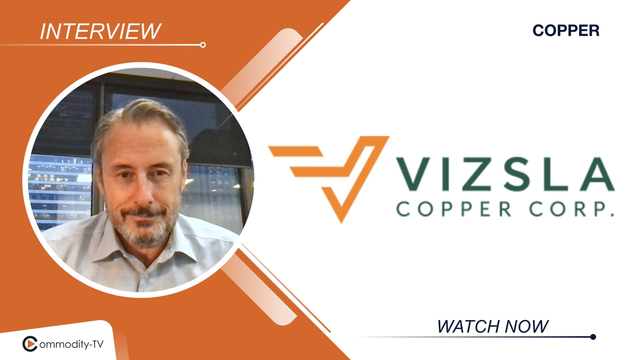 Vizsla Copper: Insight on the Potential of the Recently Acquired Palmer Copper Project in Alaska