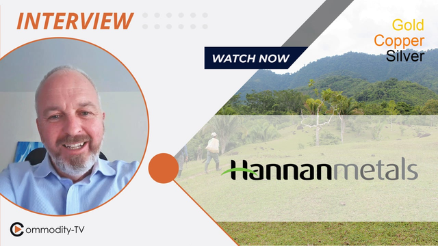 Hannan Metals: Starting to Drill at the San Martin JV in 2024 and Permits for Valiente Submitted