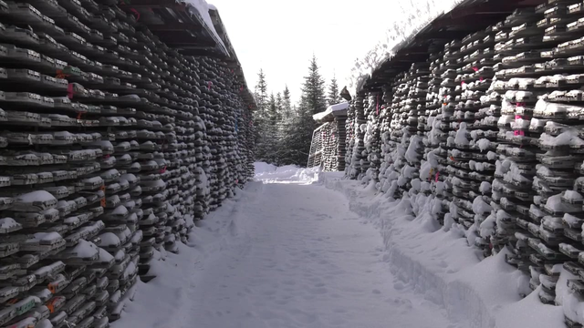 Maple Gold Mines: District Scale Gold Potential At Douay