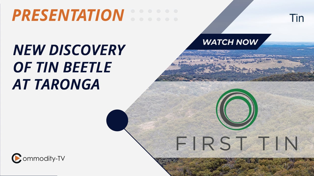 First Tin: New Tin Discovery in Taronga Called Tin Beetle