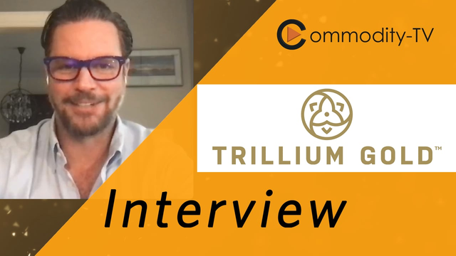 Trillium Gold Mines: CEO Insight on Willis Property Acquisition and Exploration Update