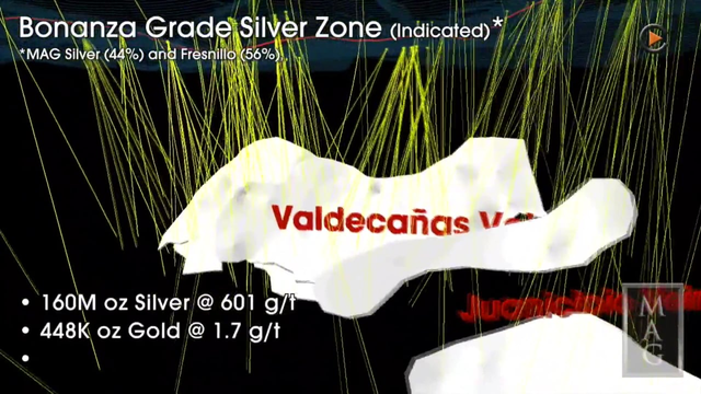 MAG Silver Presentation: Developing High Grade Low Cost Joint-Venture Project Juanicipio