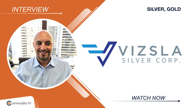Vizsla Silver: Developing One of the Best Silver Projects in the World