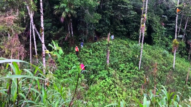 Aurania Resources: Further Drilling At Crunchy Hill - Results Before March 2019
