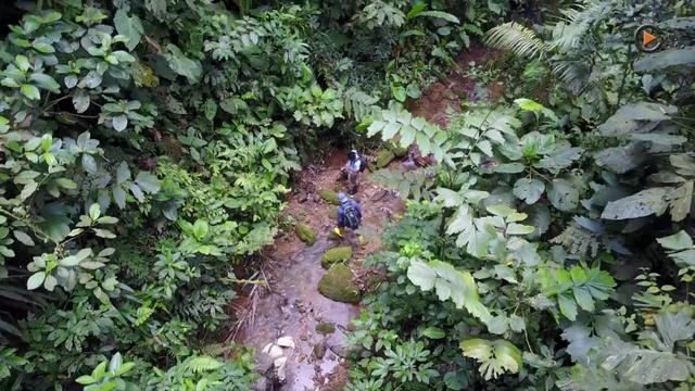 Aurania Resources Continues Scout Drilling