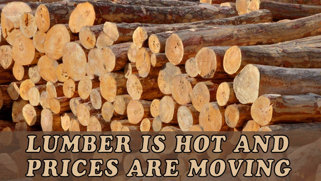 Invest In Lumber